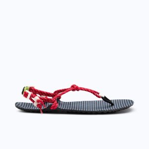 Genesis x J.Crew - Women