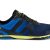 Blue Aster
